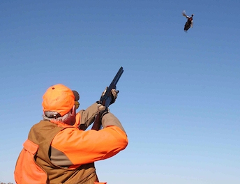 Corporate Pheasant Hunting Event